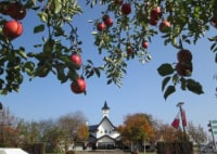 板柳町ふるさとセンター
