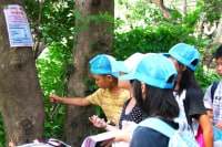 三宅島ネイチャーツアーマハナ