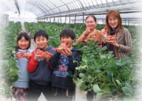 甲賀いちごハウス