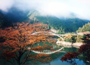 入之波温泉湯元 山鳩湯