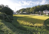 石坂ファームハウス