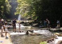 浄蓮の滝 天城国際鱒釣場