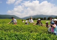 健康と癒しの里 大仁瑞泉郷