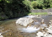 養沢フライフィッシング