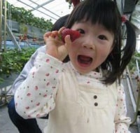 白浜いちご狩りセンター