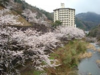 新樺川観光ホテル