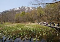奥裾花自然園