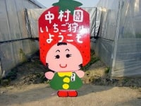 中村いちご園
