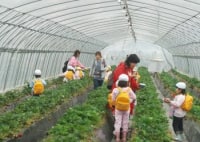 出会いの森いちご園