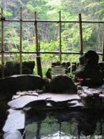 塔ノ沢 一の湯 本館