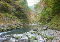 境渓谷キャンプ場・釣堀場