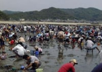 西幡豆・鳥羽海岸 潮干狩り場