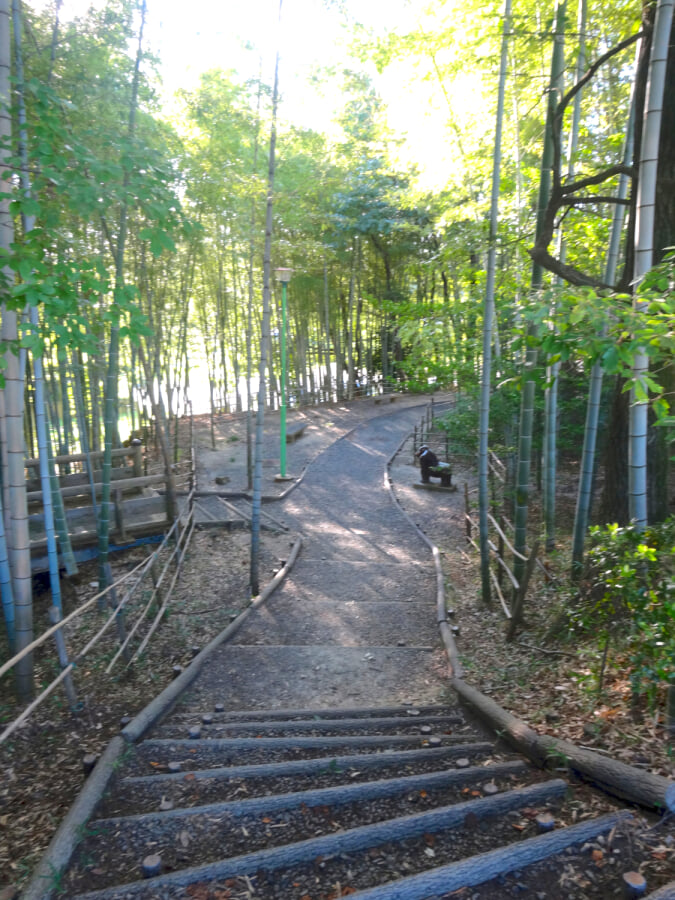 城山公園の写真5