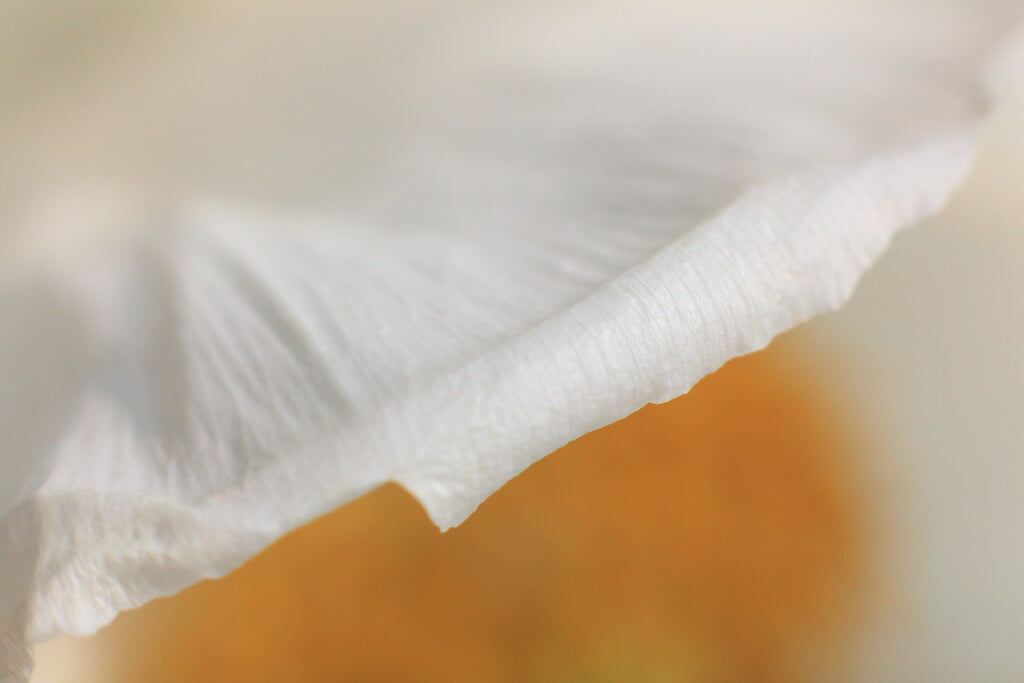 茂原牡丹園の写真5