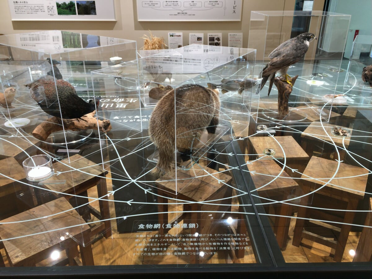 ふじのくに地球環境史ミュージアムの写真3