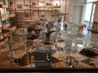 ふじのくに地球環境史ミュージアム