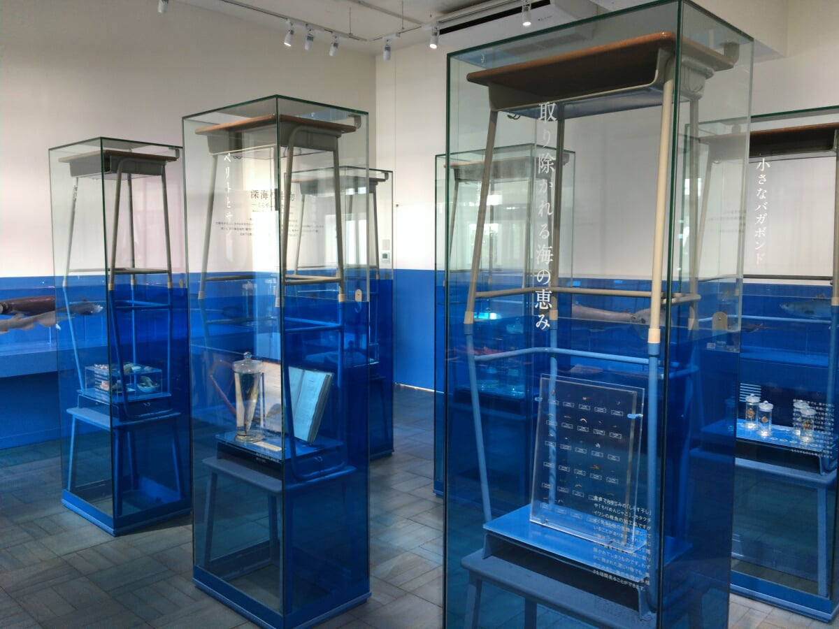 ふじのくに地球環境史ミュージアムの写真9