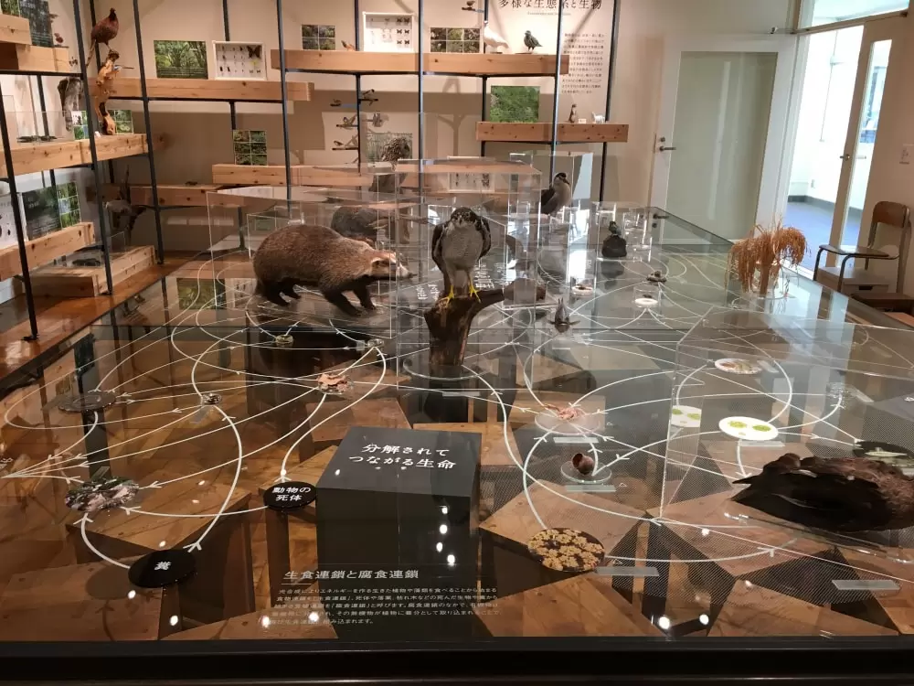 ふじのくに地球環境史ミュージアムの写真1