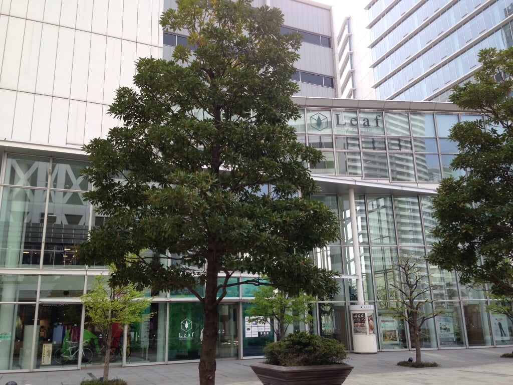 リーフみなとみらいの写真2