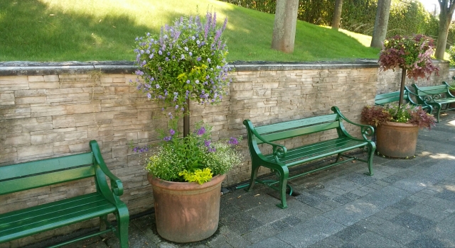 安城産業文化公園デンパーク 道の駅デンパーク安城の写真5