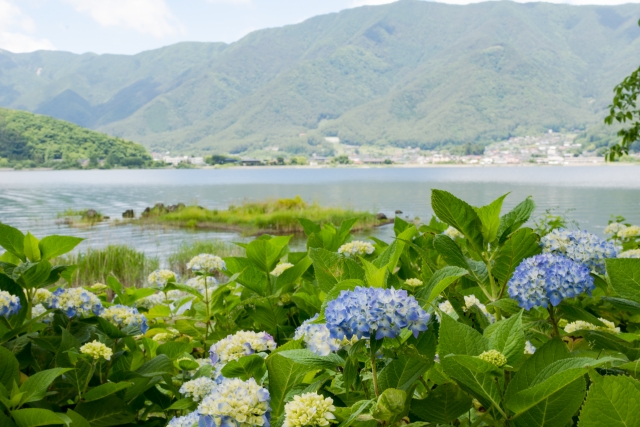 八木崎公園の写真2