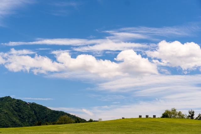 八木崎公園の写真4