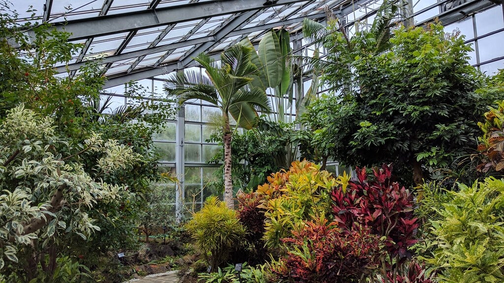 八丈植物公園の写真5