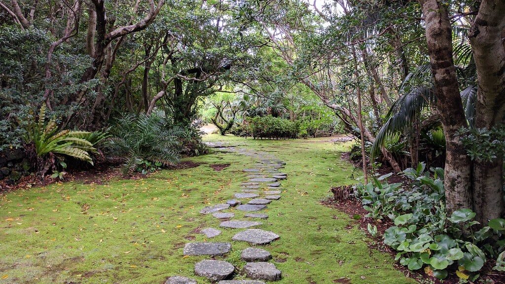 八丈植物公園の写真9