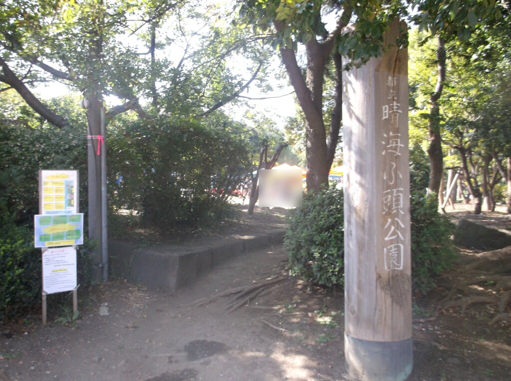 晴海ふ頭公園の写真4