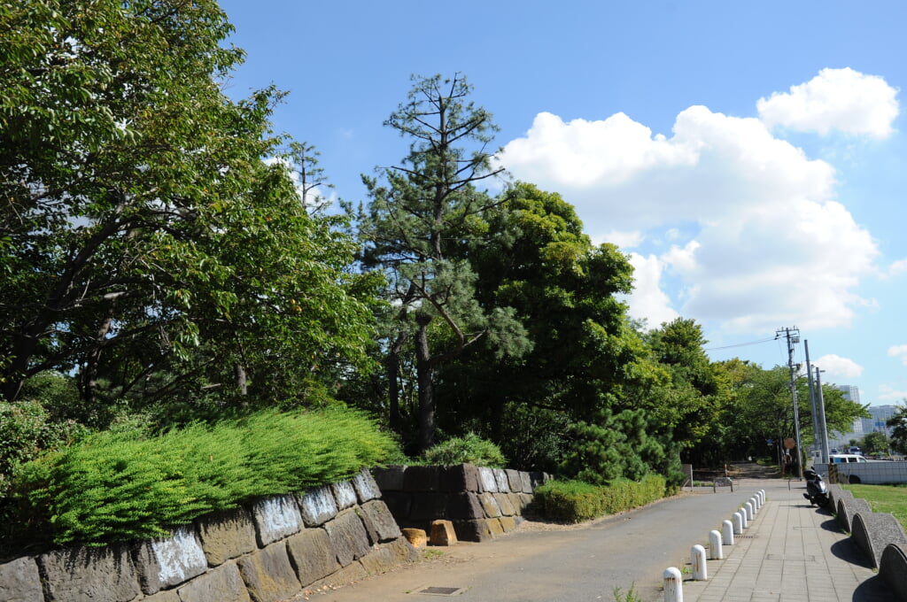 晴海ふ頭公園の写真1