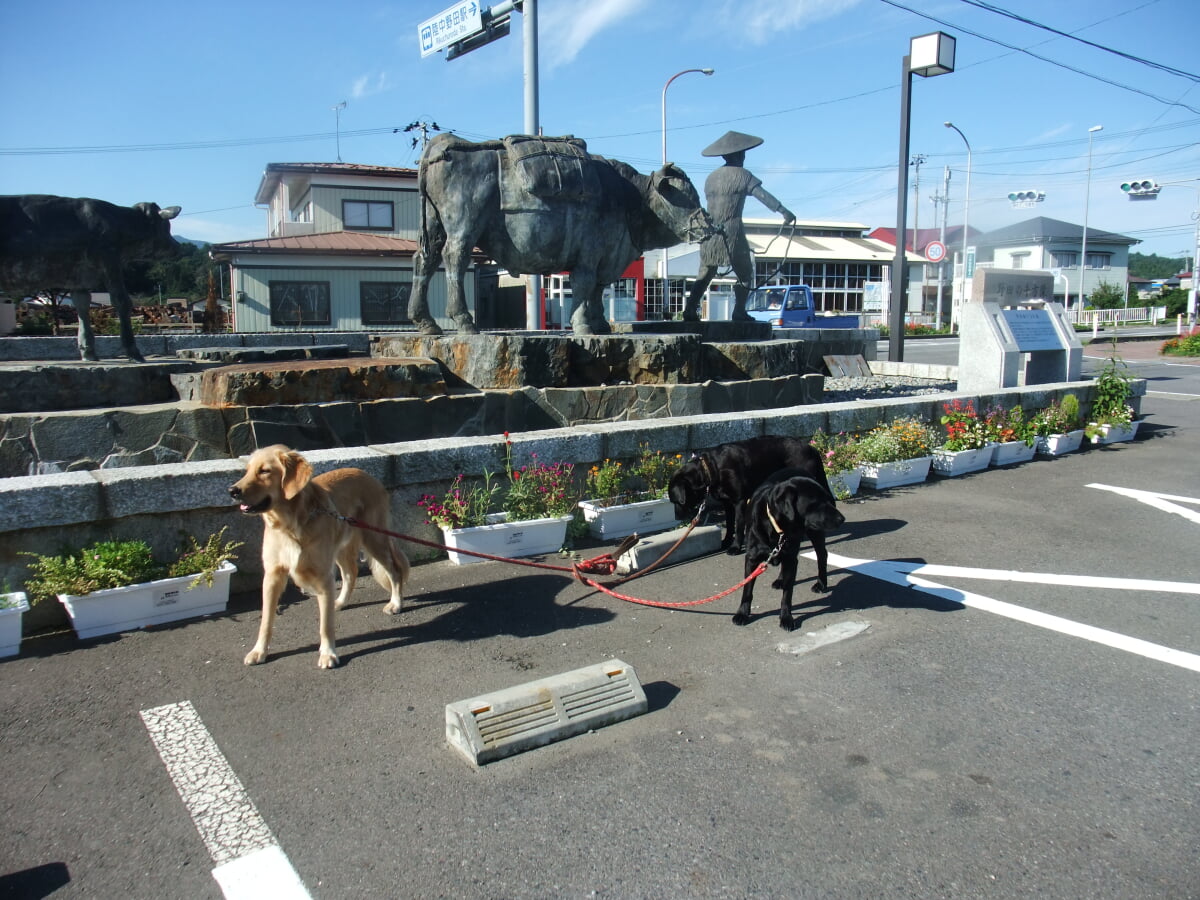 道の駅 のだの写真1