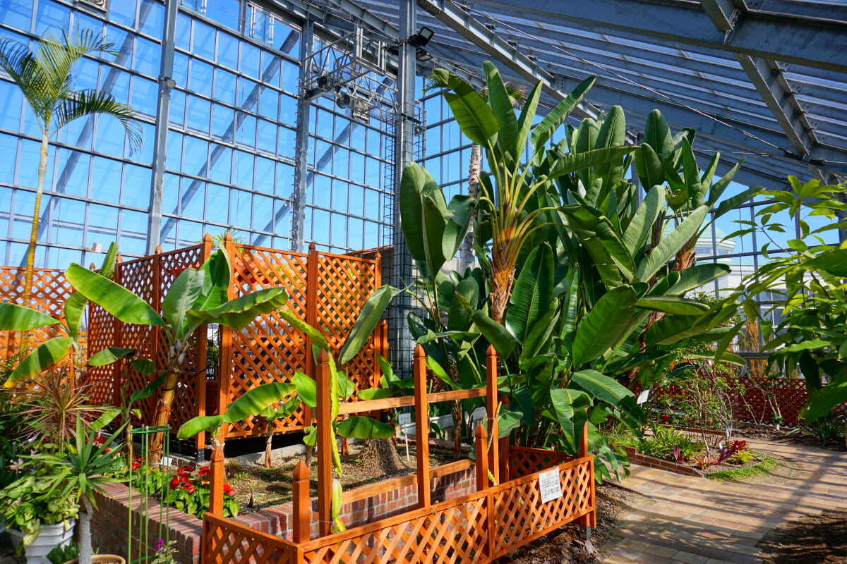 道の駅 しょうわの写真2