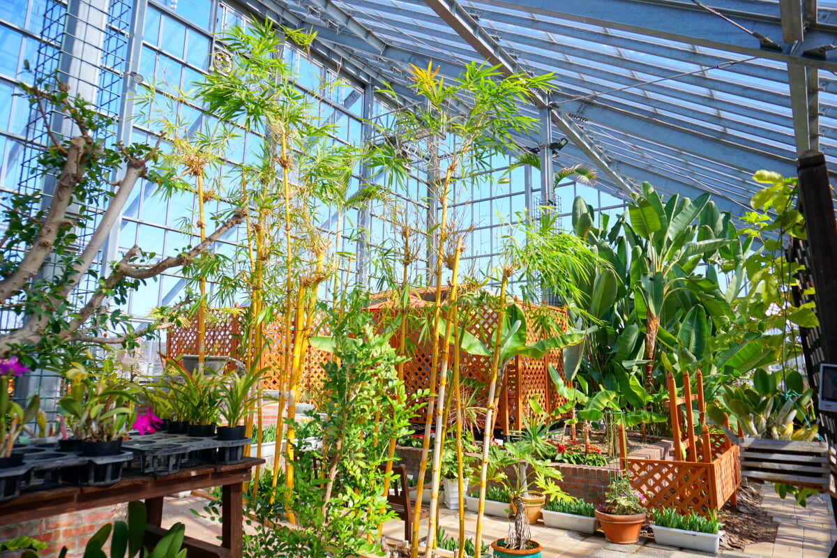 道の駅 しょうわの写真5