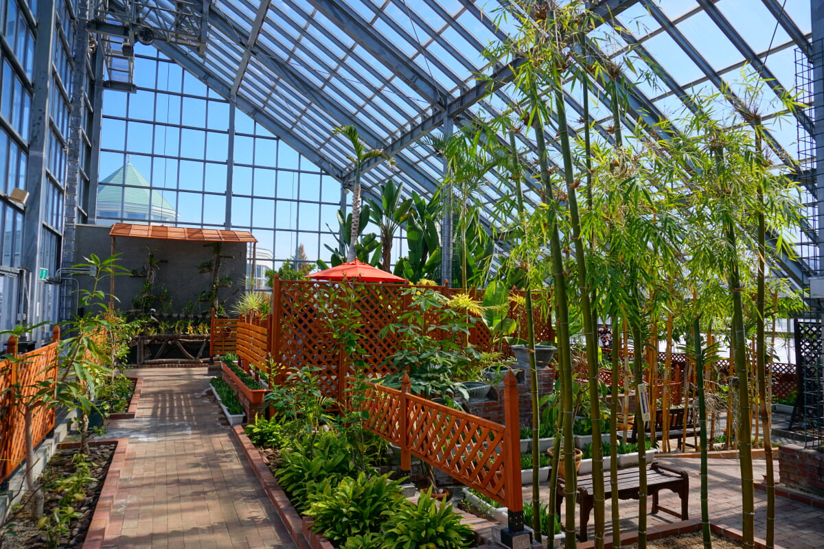 道の駅 しょうわの写真6