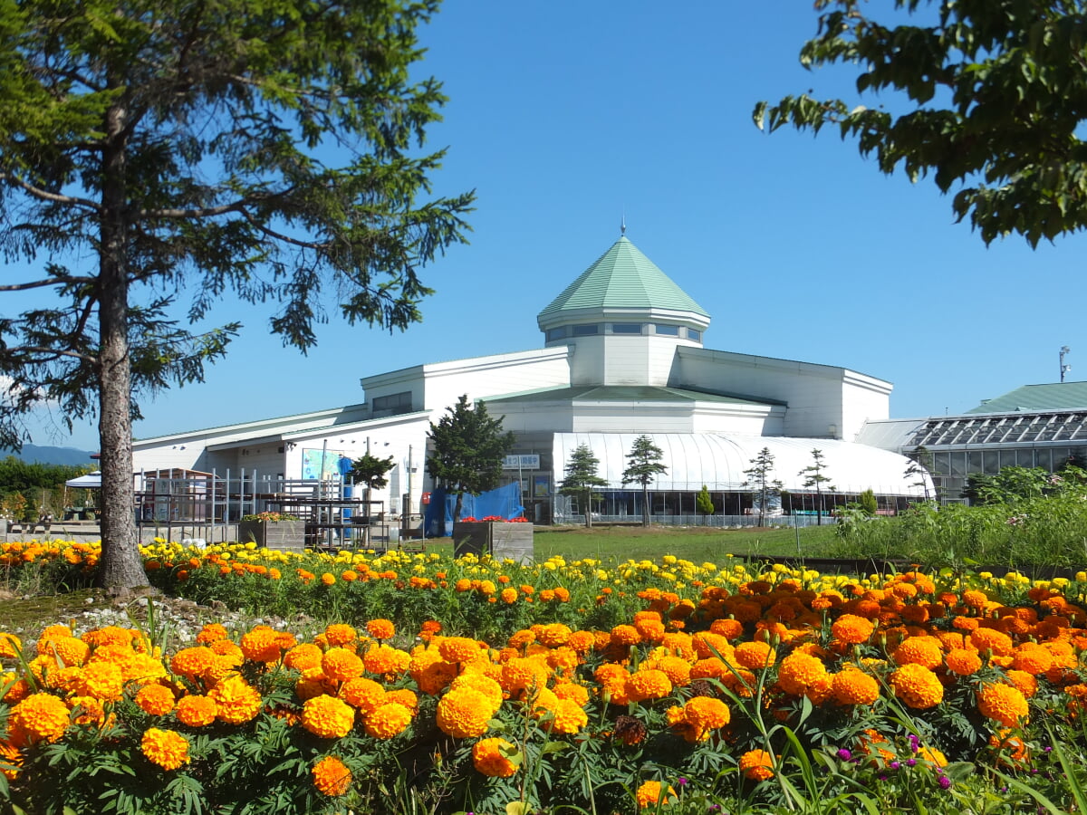 道の駅 しょうわの写真1