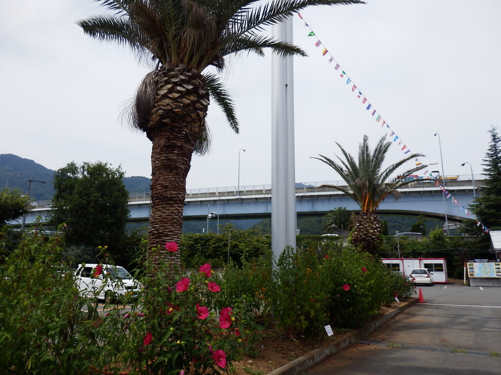 道の駅 伊豆のへその写真3
