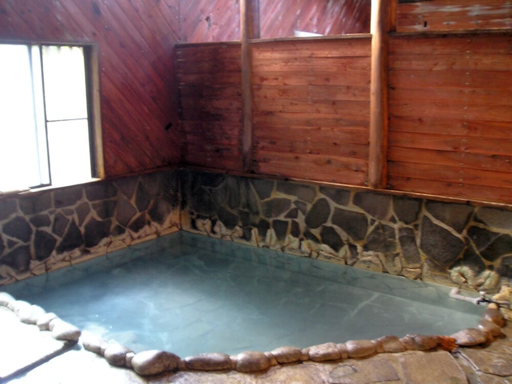 湯向温泉の写真1