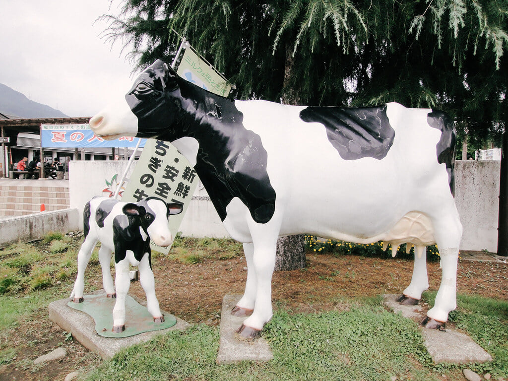 道の駅 湯の香しおばらの写真2