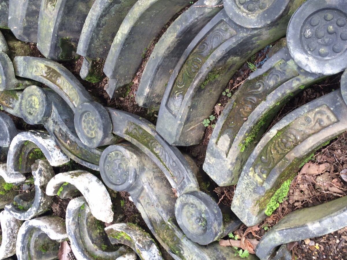 水戸市植物公園の写真6