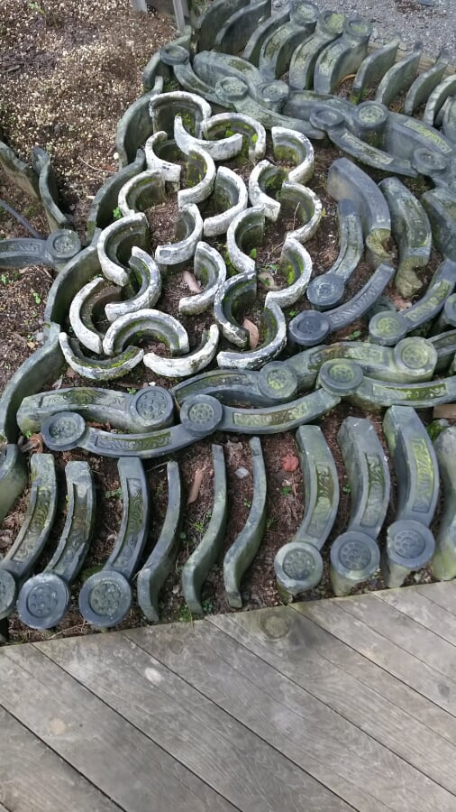 水戸市植物公園の写真7