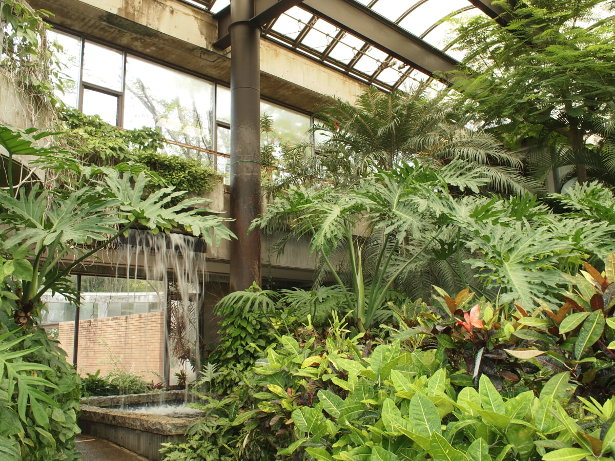 水戸市植物公園の写真9