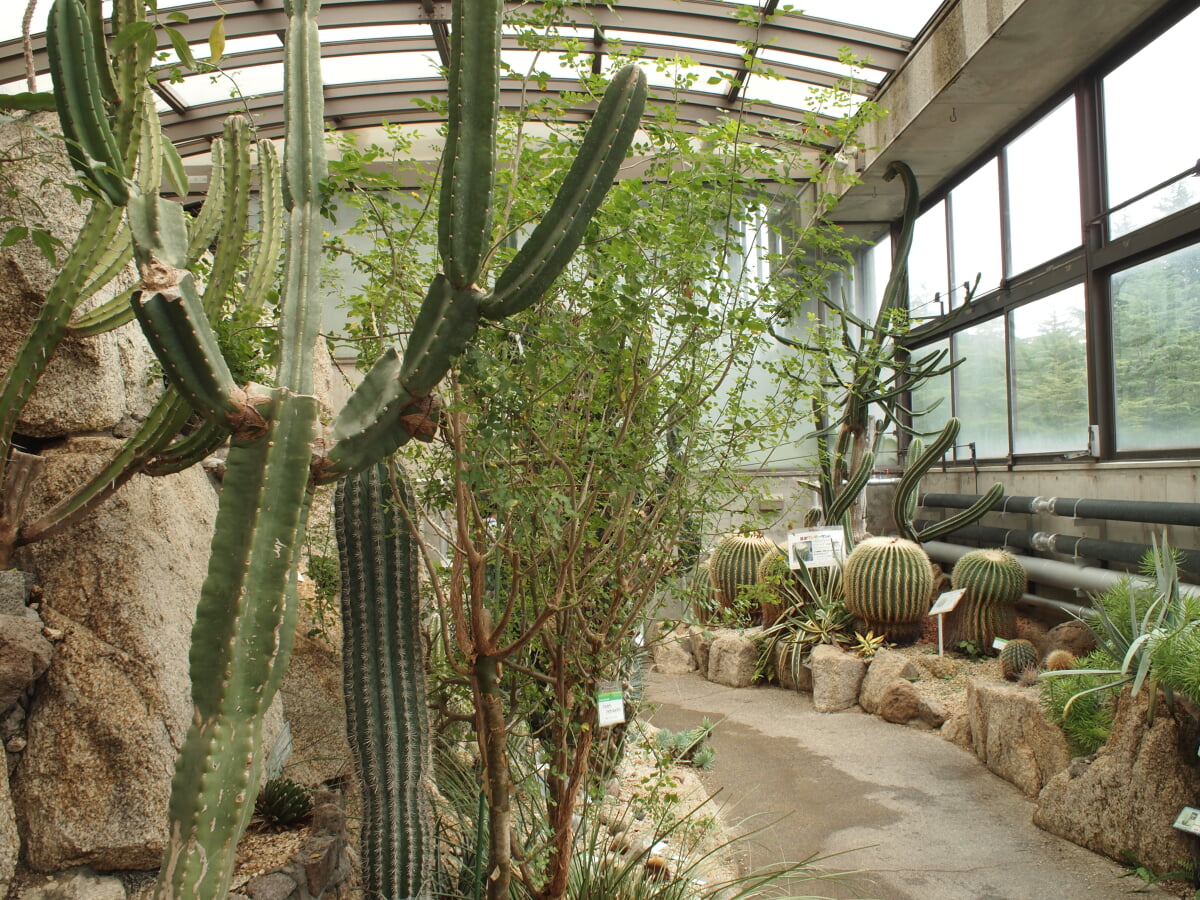 水戸市植物公園の写真10