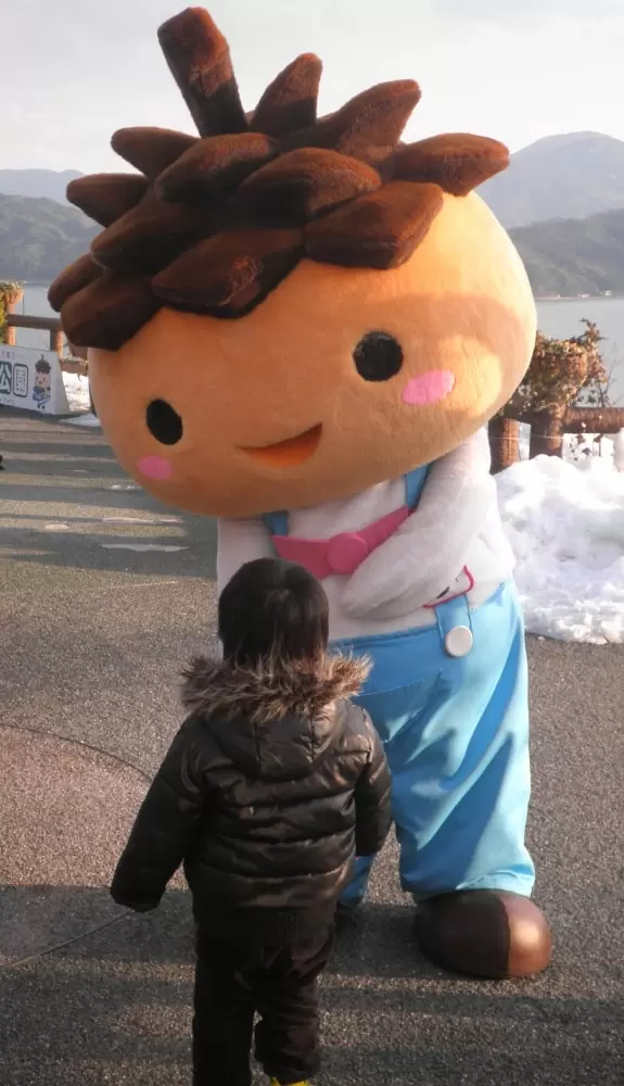 傘松公園の写真1