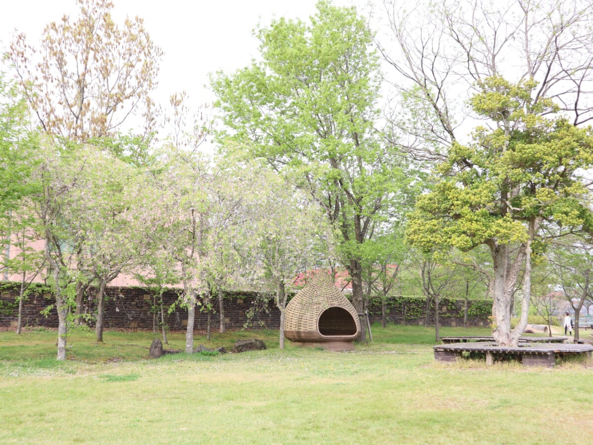 道の駅 丹後王国「食のみやこ」 の写真3