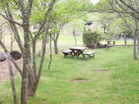 道の駅 丹後王国「食のみやこ」 