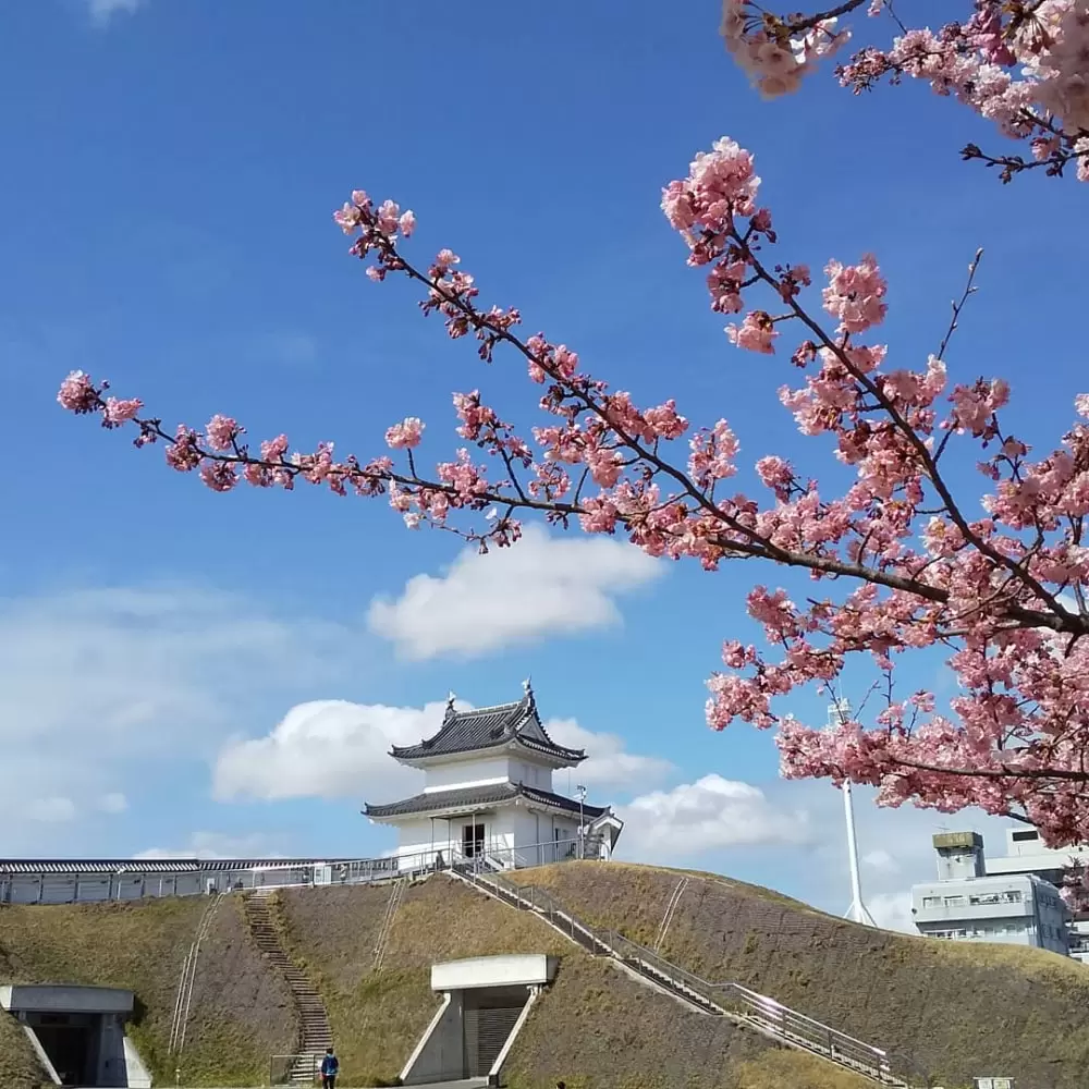 宇都宮城址公園の写真1