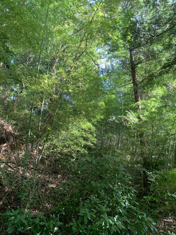 上柚木公園の写真7