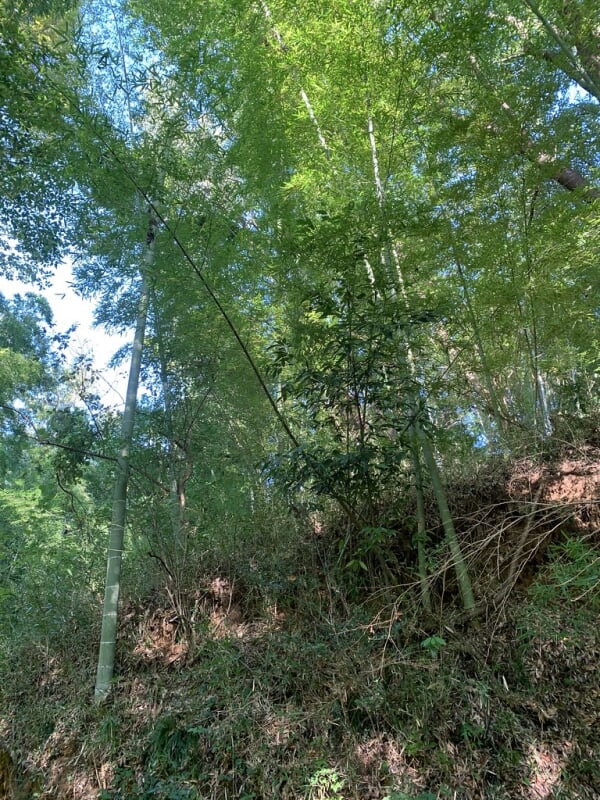 上柚木公園の写真10