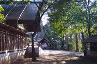 所澤神明社
