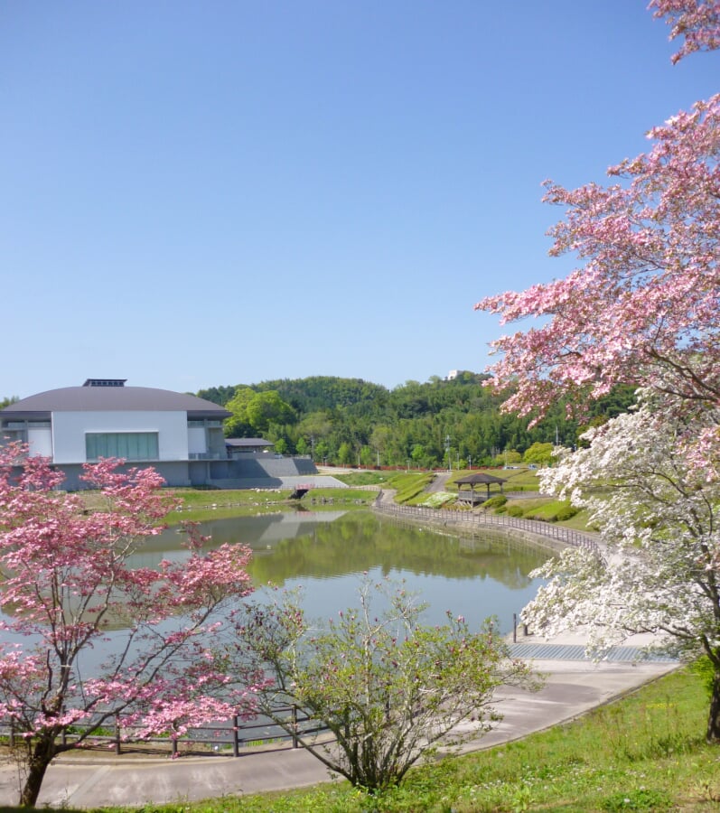 上野公園の写真1